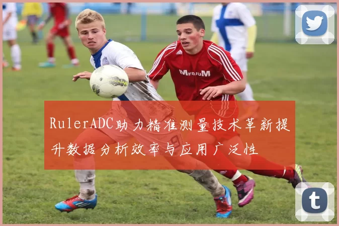 RulerADC助力精准测量技术革新提升数据分析效率与应用广泛性