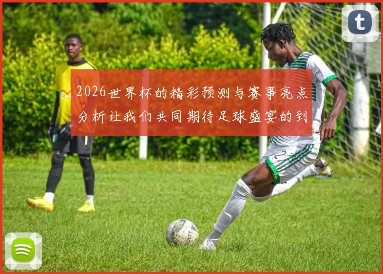 2026世界杯的精彩预测与赛事亮点分析让我们共同期待足球盛宴的到来