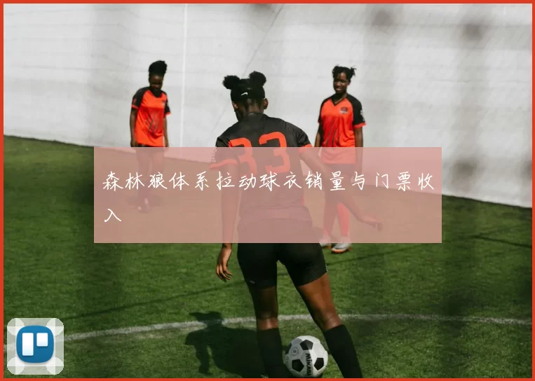 森林狼体系拉动球衣销量与门票收入