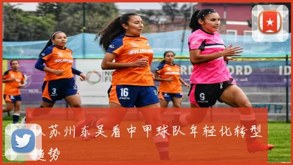 从苏州东吴看中甲球队年轻化转型趋势