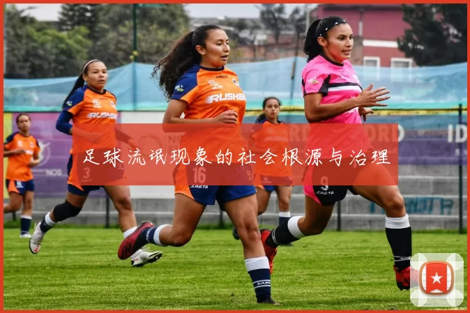 足球流氓现象的社会根源与治理