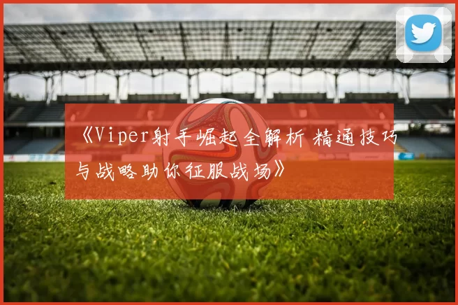 《Viper射手崛起全解析 精通技巧与战略助你征服战场》